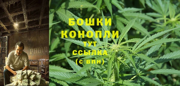 шишки Армянск