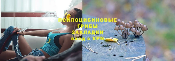 винт Аркадак