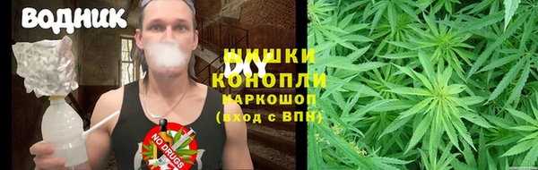 винт Аркадак